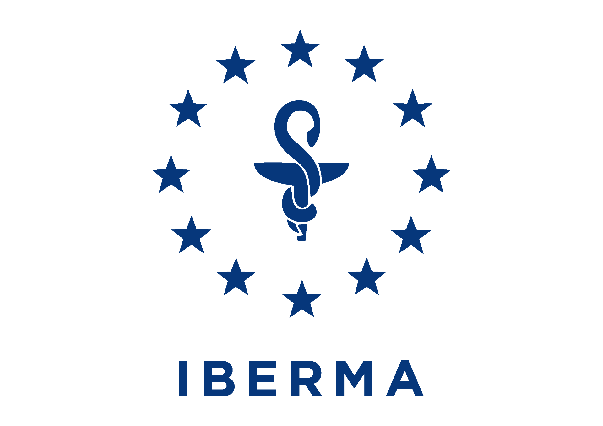 Iberma — client LeadAd