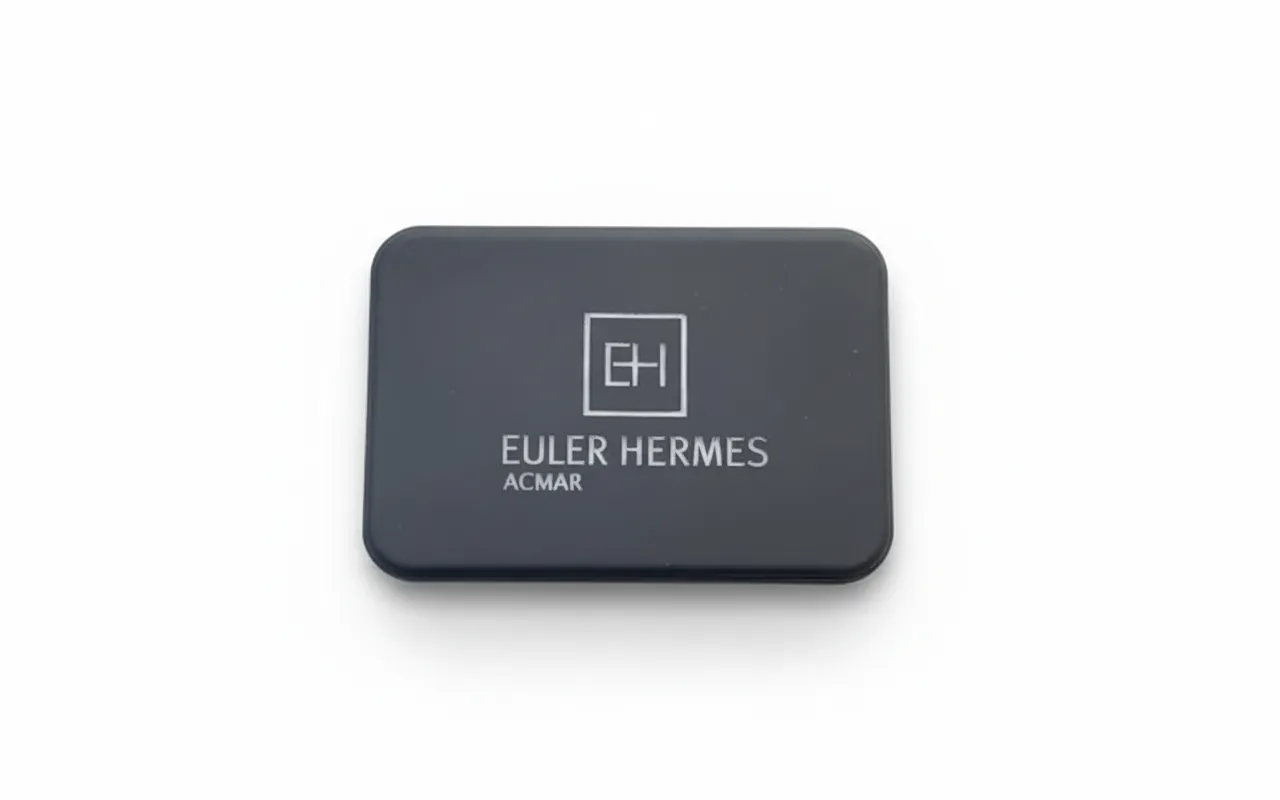 Euler Hermes - Slim power bank