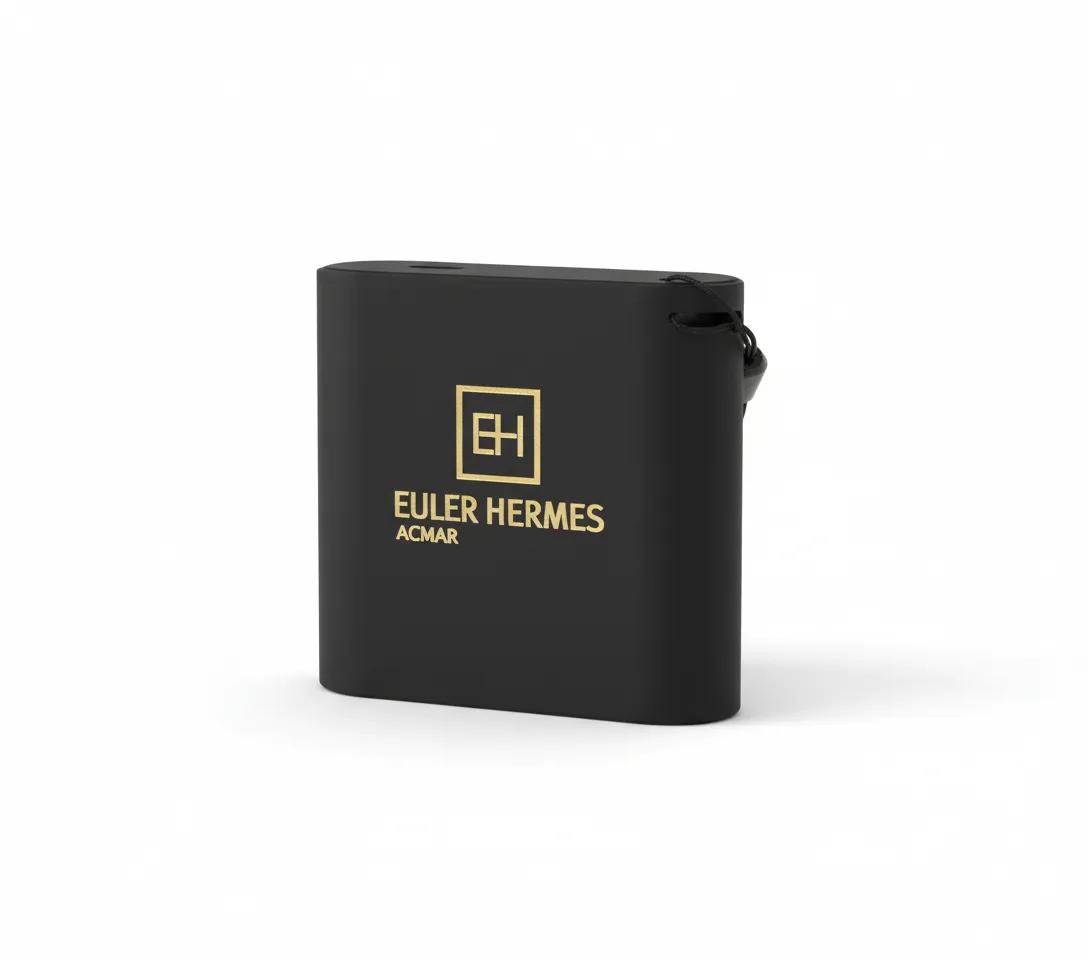 Euler Hermes - Portable battery
